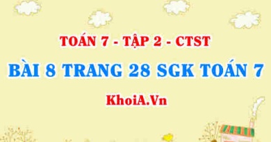 Bài 8 trang 28 SGK Toán 7 tập 2 Chân trời sáng tạo